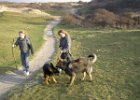 door de duinen met lizzy : Beau, Lizzy en Voice